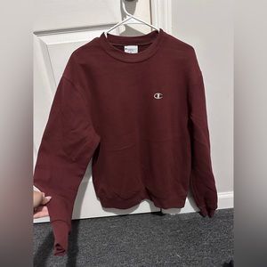 Champion sweater